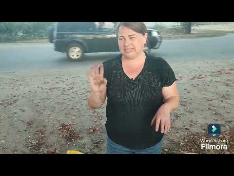 Видео: Вечірня праця збір каштану, сходила в АТБ і  була здивована космічними акціями. #каштан #атб #ціни