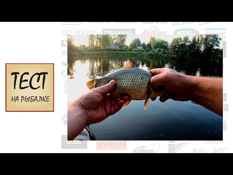 Видео: Мормышинг. Попался Карпик, много сходов