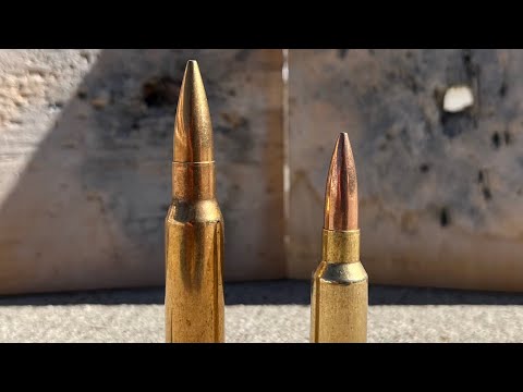 Видео: 308 против 6.5 Грендель: всё-таки не близко?