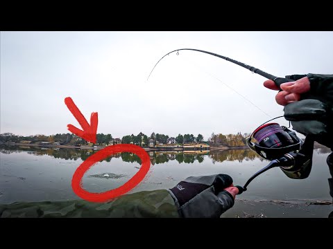 Видео: ДУМАЛ КЛЮНУЛА ЩУКА, А ОКАЗАЛОСЬ...😱 / ФИНАЛ СЕЗОНА ЗИМНЕГО СПИННИНГА и ОТКРЫТИЕ СТРИТФИШИНГА