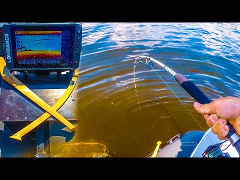 Видео: Я его НАШЕЛ, Ловля СОМА на КВОК 2021, Эхолот лоуренс ФС, Lowrance Elite FS 9, Сом