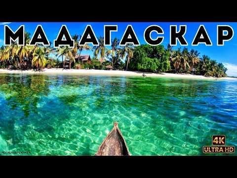 Видео: 🌍 МАДАГАСКАР. Остров жизни | Реальный сюжет | Документальный фильм о животных |