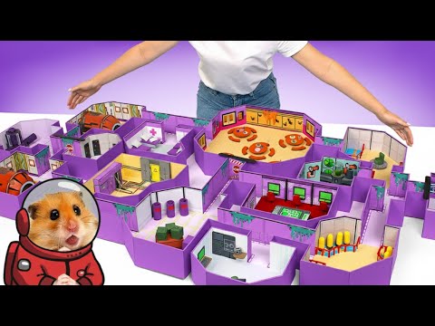 Видео: 🐹♟️ Хомяк играет в миниатюрном домике Among Us 🏠🚀