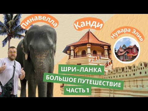 Видео: Шри-Ланка. Большое путешествие. Часть 1 Пинавелла. Канди. Нувара Элия.