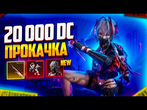 Видео: ПРОКАЧКА АККАУНТА В DELTA FORCE ЗА 20.000 DC