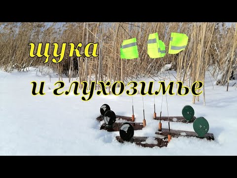 Видео: Щука в глухозимье. Рыбалка с жерлицами в конце января.