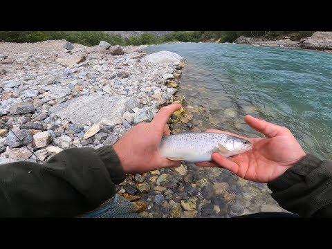 Видео: Ловля форели в бурных реках Кавказа #trout_fishing #кбр #fishing #форель