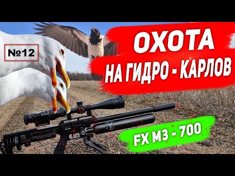 Видео: Охота на  Ворону и Гидро- Карлов №12  Hunting 2023. Кроухантинг. Jack Hunter.