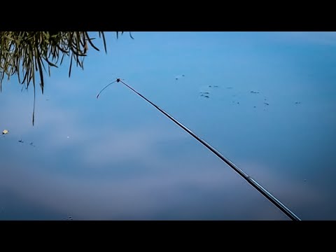 Видео: Діди їздять і питають чи Клює,а у мене Свистить жилка з Мормишкою