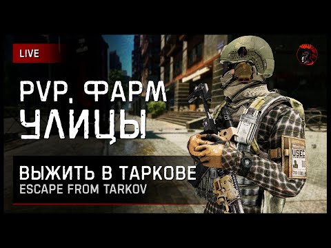 Видео: TARKOV × CHILL × PVP [зкз муз ВКЛ] Если лагает смотри на Twitch или VKPlay