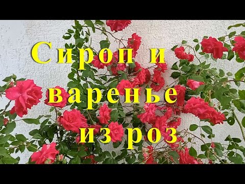 Видео: Сироп и варенье из лепестков роз. Простой рецепт, Прекрасный вкус и аромат. Рецепты из Болгарии