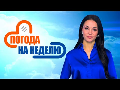 Видео: Зима наступит постепенно! | Погода в Беларуси с 1 по 7 декабря | Плюс-минус
