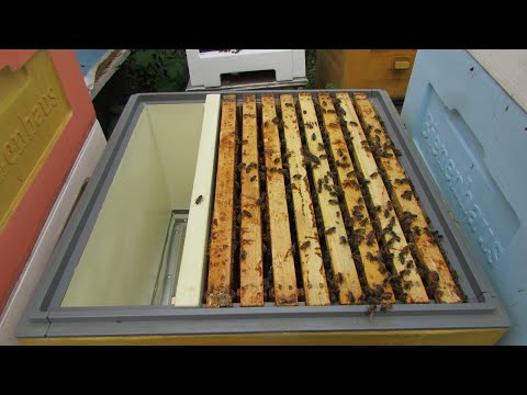 Видео: ноябрь на пасеке - как лучше сделать вентиляцию для зимовки в ульях ППУ и ППС