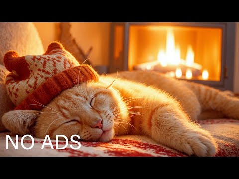 Видео: Музыка для снятия тревожности у кошек 🐈 Музыка для снятия стресса у кошек #catmusic