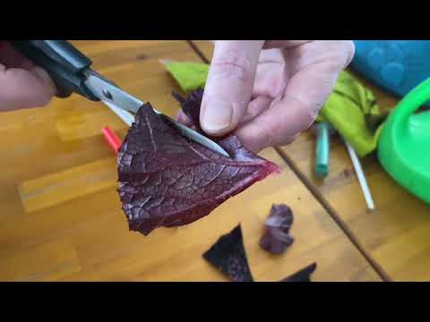 Видео: Размножение бегоний фрагментами листа и черенками!!!