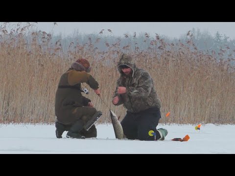 Видео: ЗИМОВА РИБОЛОВЛЯ 2023-2024! ЩУКИ НЕ ЛІЗУТЬ В ЛУНКУ! ЛОВЛЯ на ЖЕРЛИЦІ! ОКУНЬ на БЕЗМОТИЛКУ і БЛЕШНЮ!