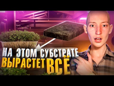 Видео: Зачем ЭТО придумали? Тест ЭКО агровата для выращивания микрозелени!
