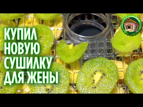 Видео: Сушим фрукты ягоды и грибы. Купили Дегидратор Oberhof Fruchttrockner A-15. 200 серия