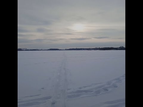 Видео: Журавлевка взимку на лижах.