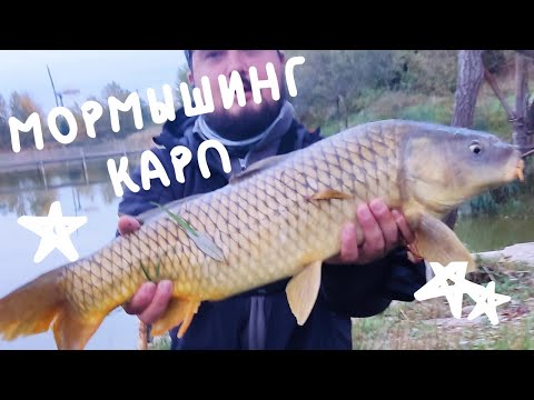 Видео: МОРМЫШИНГ x КАРП #71