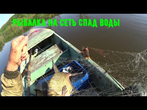 Видео: Рыбалка на сеть, спад воды