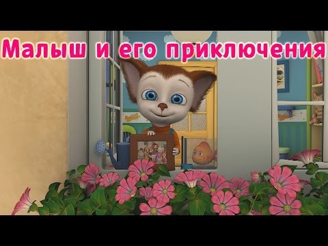 Видео: Барбоскины | Малыш и его приключения | Мультики для детей