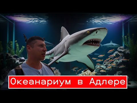 Видео: Сочинский океанариум. Океанариум в Адлере.