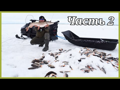Видео: Фильм. Дикая рыбалка на севере. Трофей взят! Часть 2
