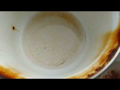 Видео: Послал коробку с мороженным кормом в сторону Самары . Подробно тестирую купленные корма