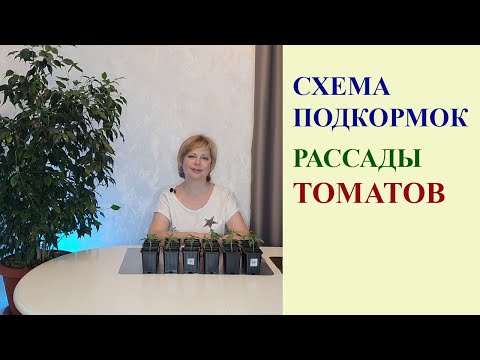 Видео: СХЕМА ПОДКОРМОК РАССАДЫ ТОМАТОВ