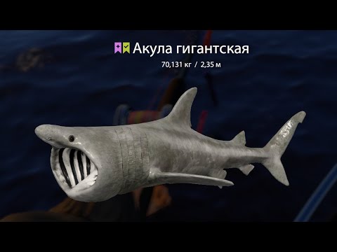 Видео: В поисках крупной рыбы на МОРЕ (Рулетки Турниры Розыгрыши) стрим РР4