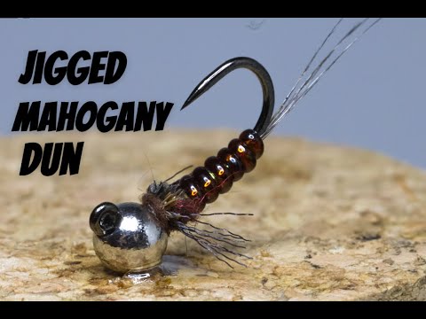 Видео: Jigged Mahogany Dun: незамеченная осенняя поденка