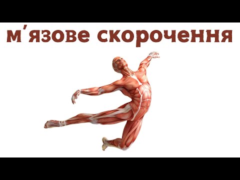 Видео: Молекулярні механізми м'язового скорочення