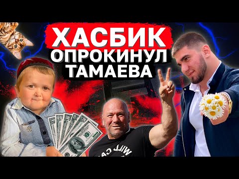 Видео: Хасбик опрокинул Тамаева l Ждем c Абдурозиком в UFC