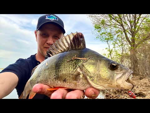 Видео: СУДАК НА УЛЬТРАЛАЙТ. ЩУКИ  ОДНА ЗА ОДНОЙ. СПОНТАННЫЕ РЫБАЛКИ ВСЕГДА ЛУЧШИЕ