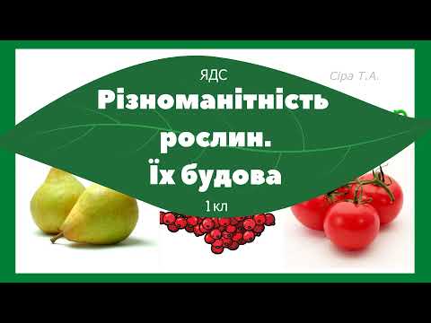 Видео: Різноманітність рослин Їх будова | ЯДС 1 клас |