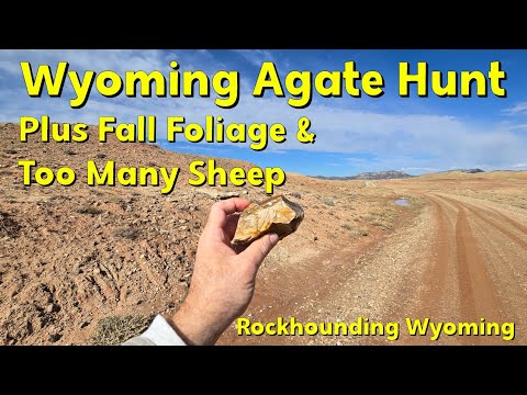 Видео: Поиск агатов в аутбэке Вайоминга #агат #яшма #искатели #камней #драгоценныйкамень #кварц