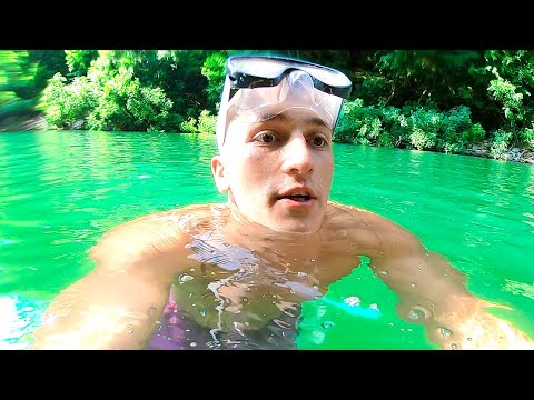 Видео: НЕНОРМАЛЕН СКОК ОТ ДЪРВО ВЪВ ВОДА