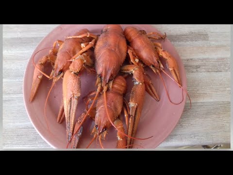 Видео: Рыбалка с комфортом, февраль, раки на коромысло, сорога, окушок.