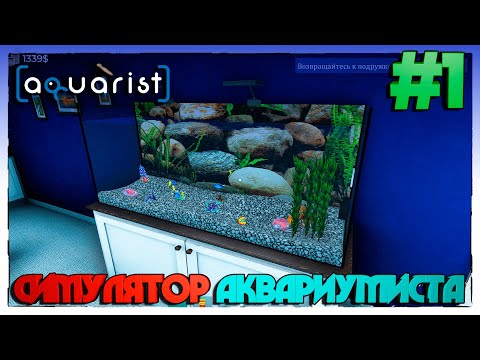 Видео: Aquarist ►СТАЛ АКВАРИУМИСТОМ►1