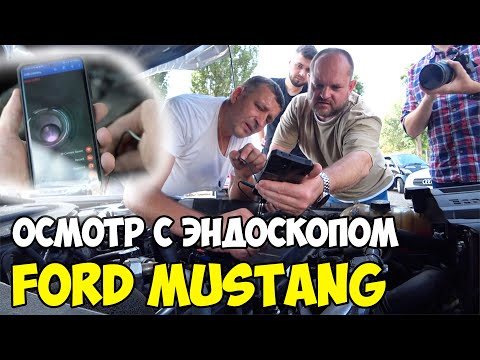 Видео: Осмотр с эндоскопом. Ford Mustang