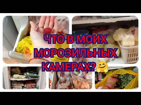 Видео: VLOG 10.11.2021 Обзор моих морозильных камер//Заморозки за огородный сезон...