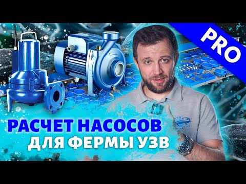 Видео: Как правильно ПОДОБРАТЬ И РАССЧИТАТЬ НАСОС для ФЕРМЫ УЗВ | Расчет НАСОСОВ для фермы УЗВ