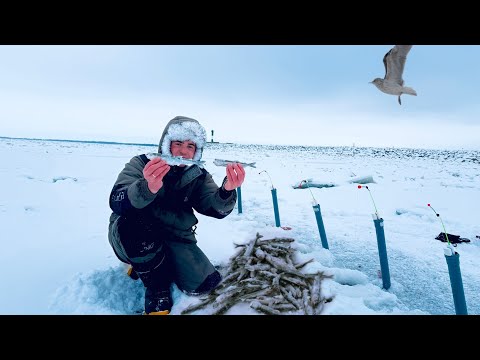 Видео: Бешенный Клёв Корюшки на Финском заливе.
