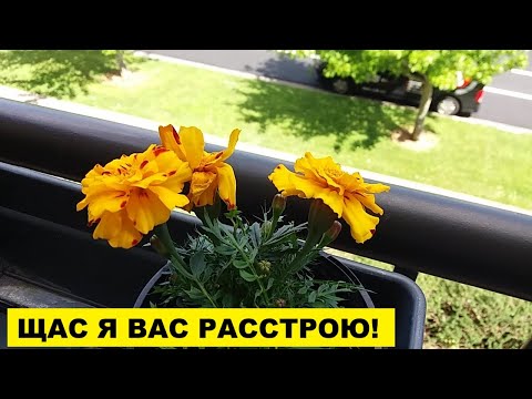 Видео: ЩАС Я ВАС РАССТРОЮ!..ШОБ НЕ ОДНОЙ СТРАДАТЬ