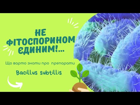 Видео: Фітоспорин чи інші препарати сінної палички - що обрати?