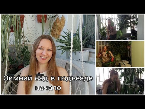 Видео: Спасение растений/ Цветы в подъезде/Начало/ 1 часть