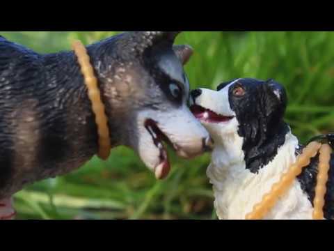 Видео: Вольная Упряжка 8 серия