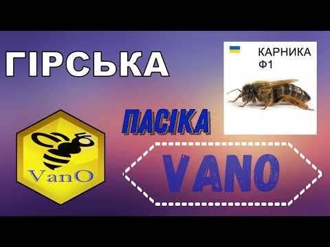 Видео: Перетопка бджолиного воску ценрифугою.Воскотопка центрифуга #карніка #пасіка #ппу #beekeeper #bee