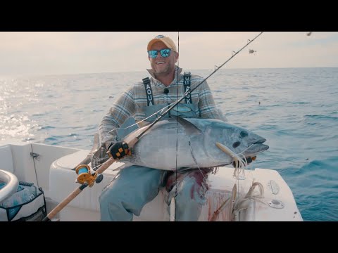 Видео: Троллинг голубого тунца без аутригера + Hogy Direction Bird Bar